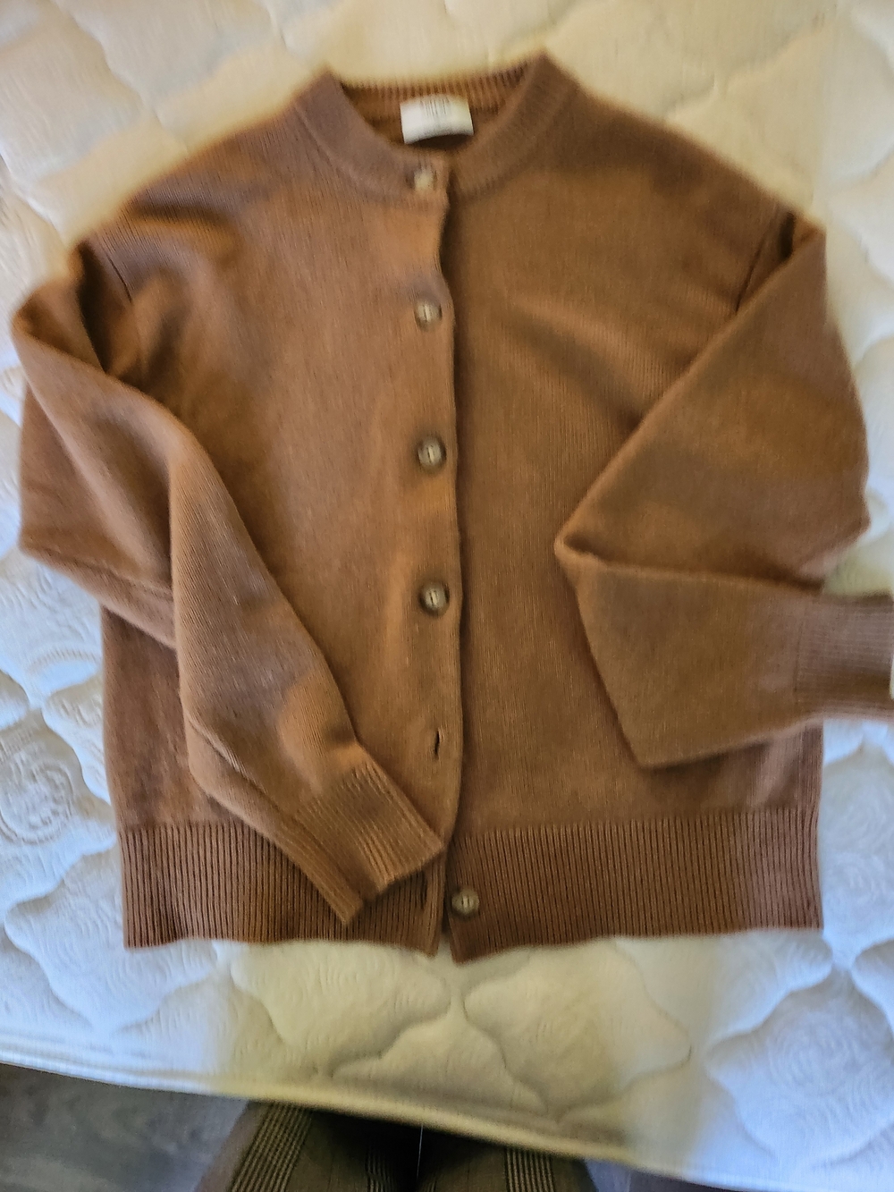 Aritzia Chestnut Brown Button Front Cardigan